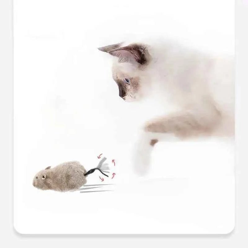 Plüschmaus für Katzen und Hunde – Ansicht von vorne