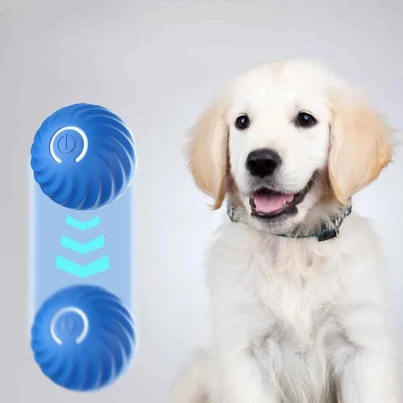 Automatischer interaktiver Ball für Hunde – Ansicht von vorne
