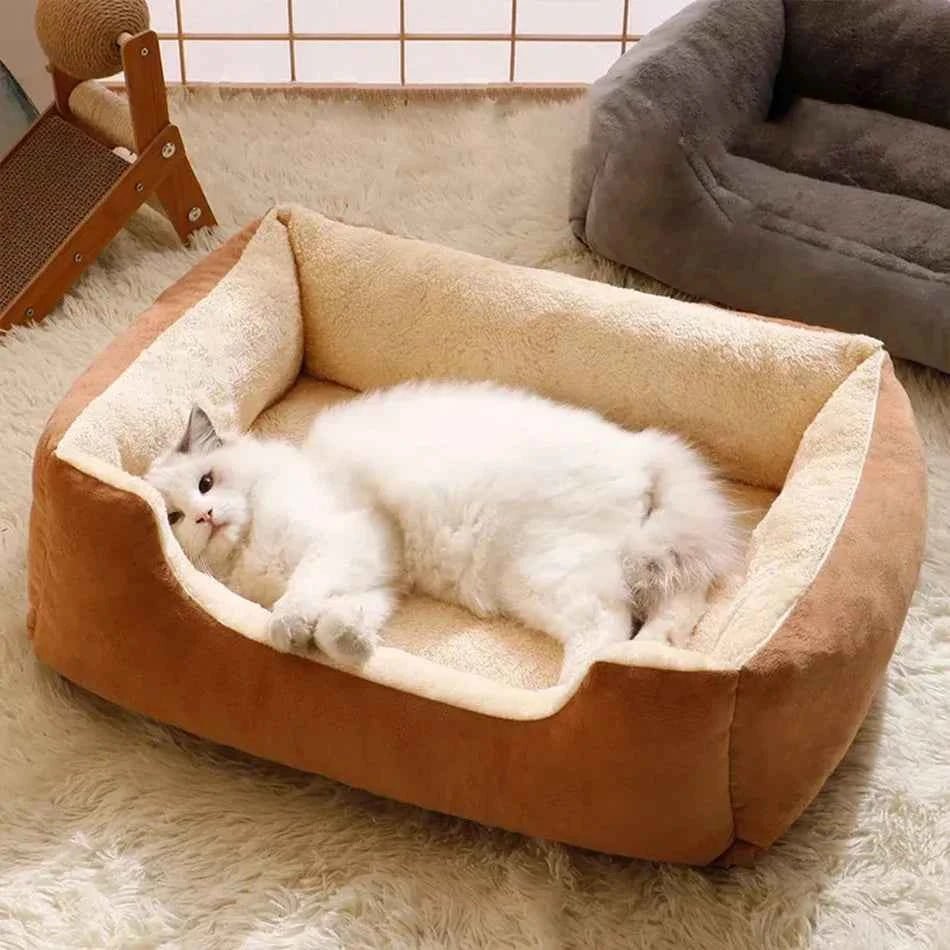 Bett für Katzen und Hunde – bequemer Korb mit Kissen für ruhigen Schlaf